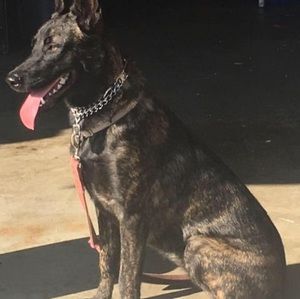 Meet your Posher, Jay